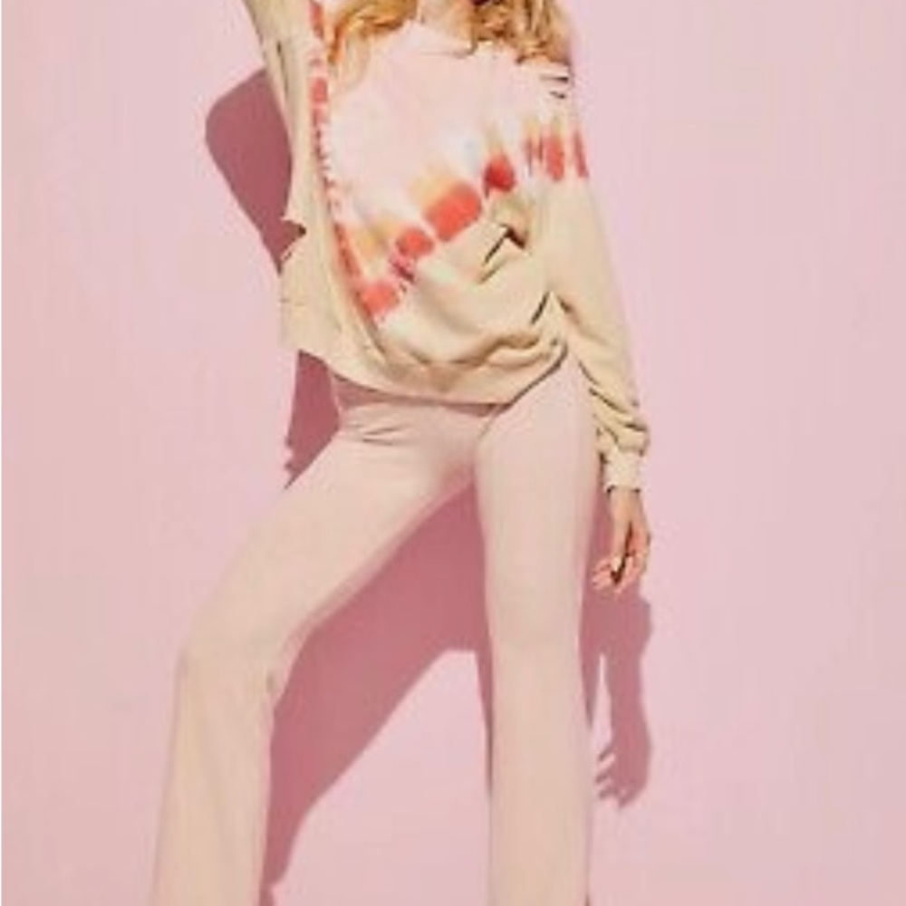 NWT WILDFOX GRAPEFRUIT SOMMERS INTENTIONALLY DISTRESSED SWEATSHIRT SZ SMALL - Picture 8 of 14